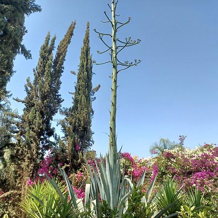 Riad-Villa Agadir-Taroudant Sidi Boumoussa Dış mekan fotoğraf