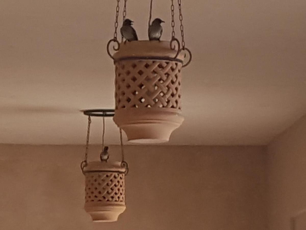 Riad-Villa Agadir-Taroudant Sidi Boumoussa Dış mekan fotoğraf
