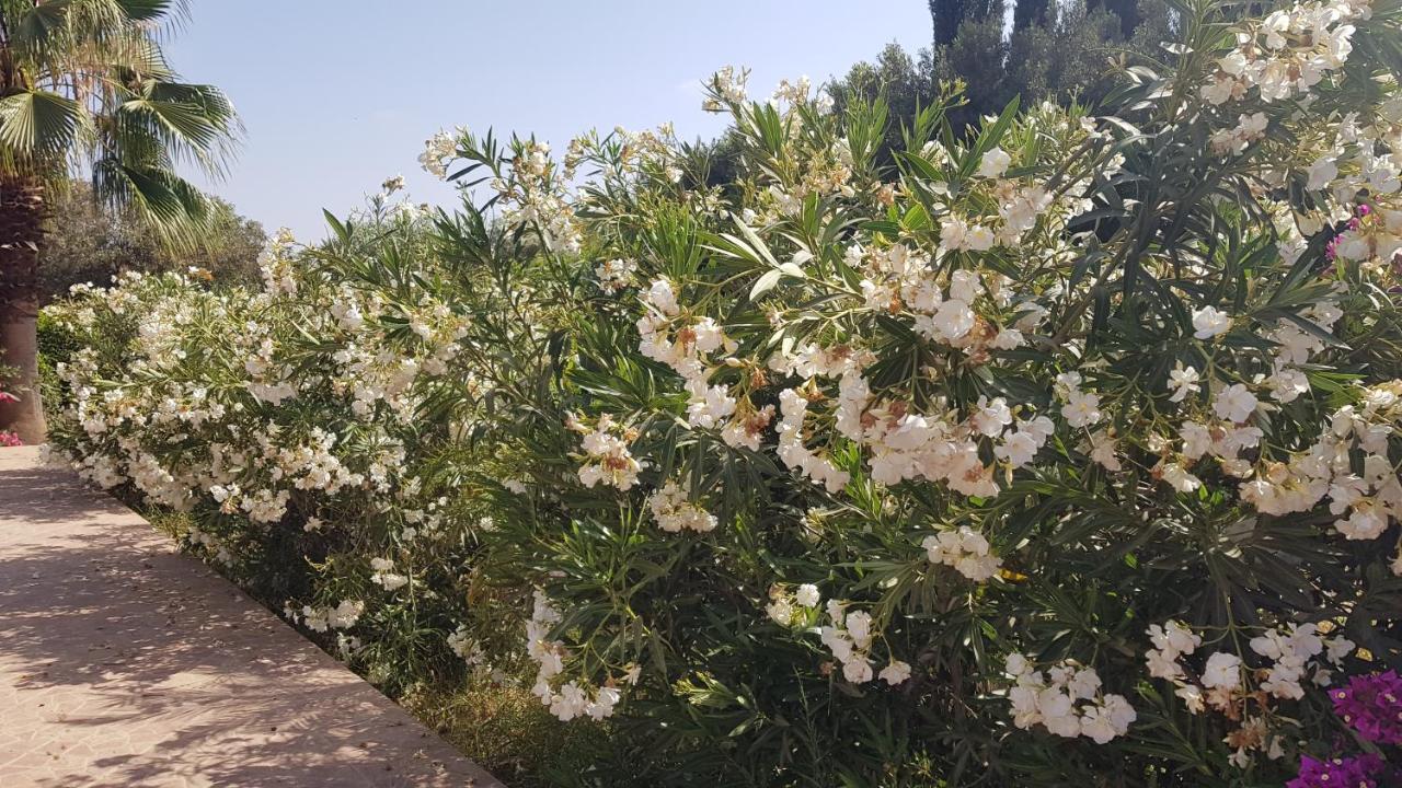 Riad-Villa Agadir-Taroudant Sidi Boumoussa Dış mekan fotoğraf