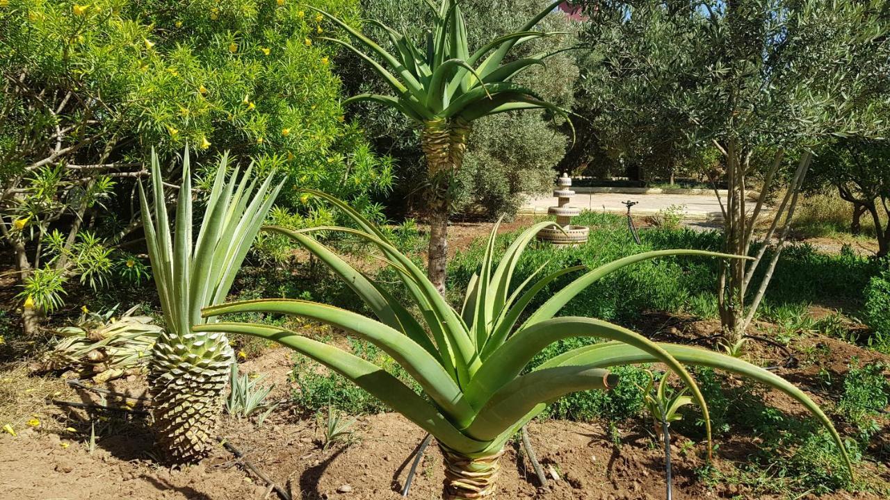 Riad-Villa Agadir-Taroudant Sidi Boumoussa Dış mekan fotoğraf