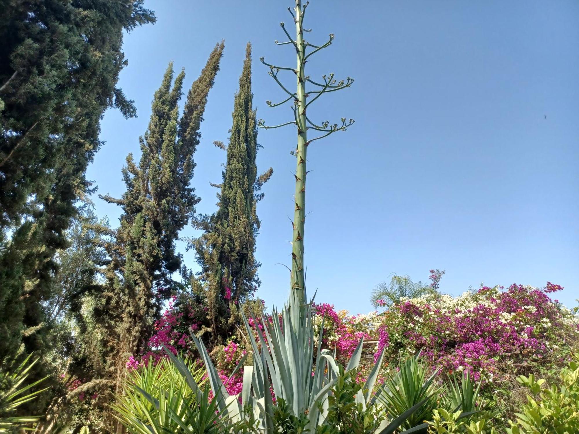 Riad-Villa Agadir-Taroudant Sidi Boumoussa Dış mekan fotoğraf