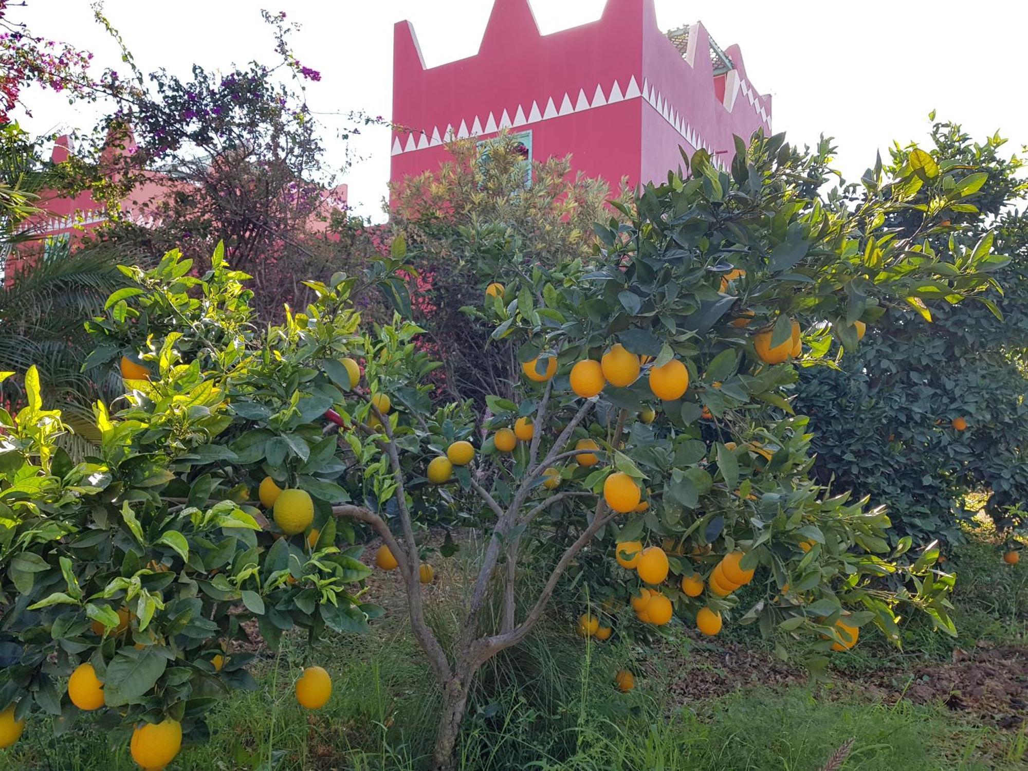 Riad-Villa Agadir-Taroudant Sidi Boumoussa Dış mekan fotoğraf